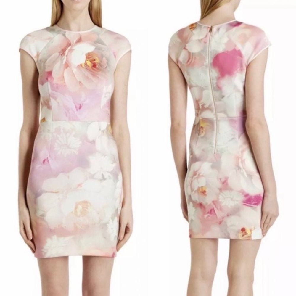 Ted Baker London Sz 1 Floral Pink Quaro Rose On Canvas Neoprene Cap Sleeve Dress